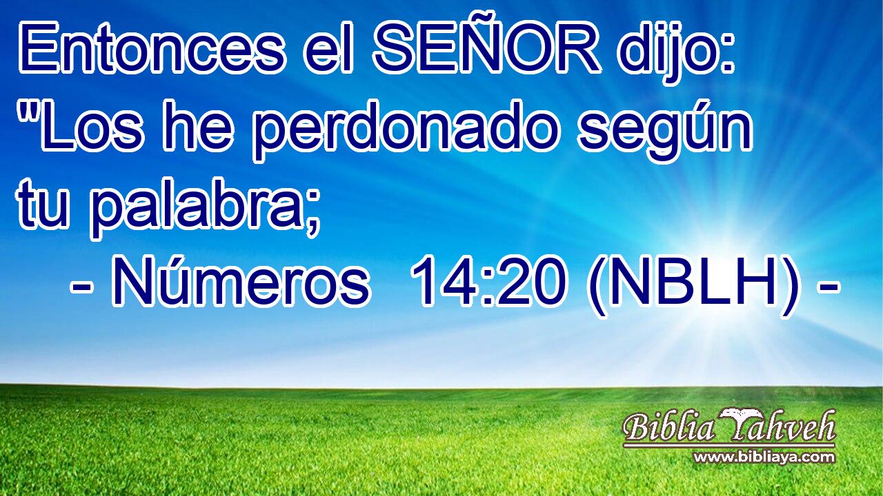  Entonces el SEÑOR dijo: 
