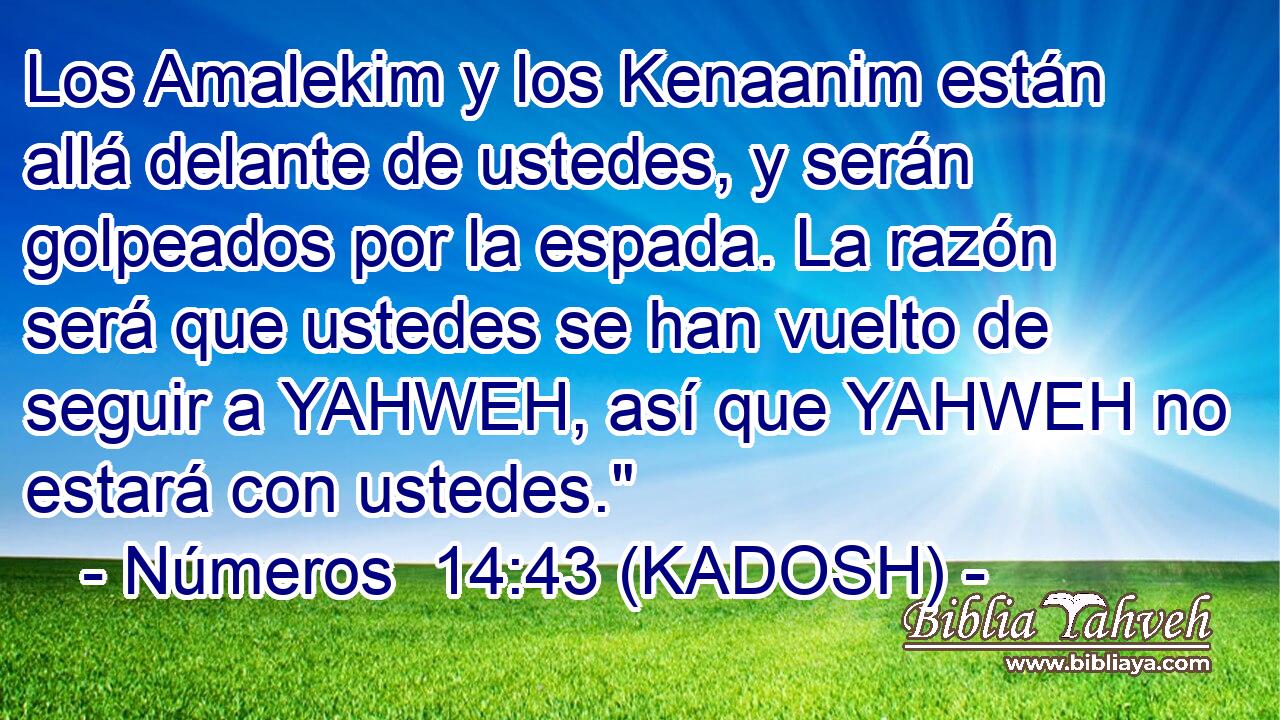  Los Amalekim y los Kenaanim están allá delante de ustedes, y serán golpeados por la espada. La razón será que ustedes se han vuelto de seguir a YAHWEH, así que YAHWEH no estará con ustedes.