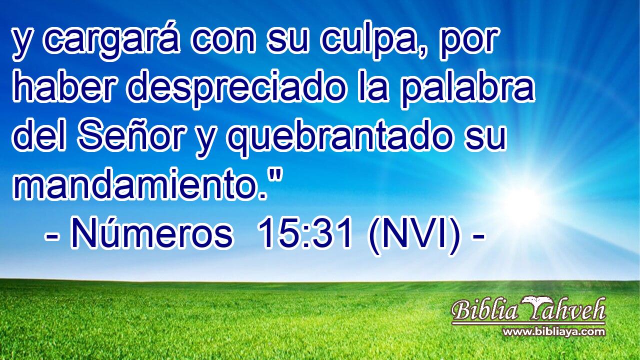  y cargará con su culpa, por haber despreciado la palabra del Señor y quebrantado su mandamiento.