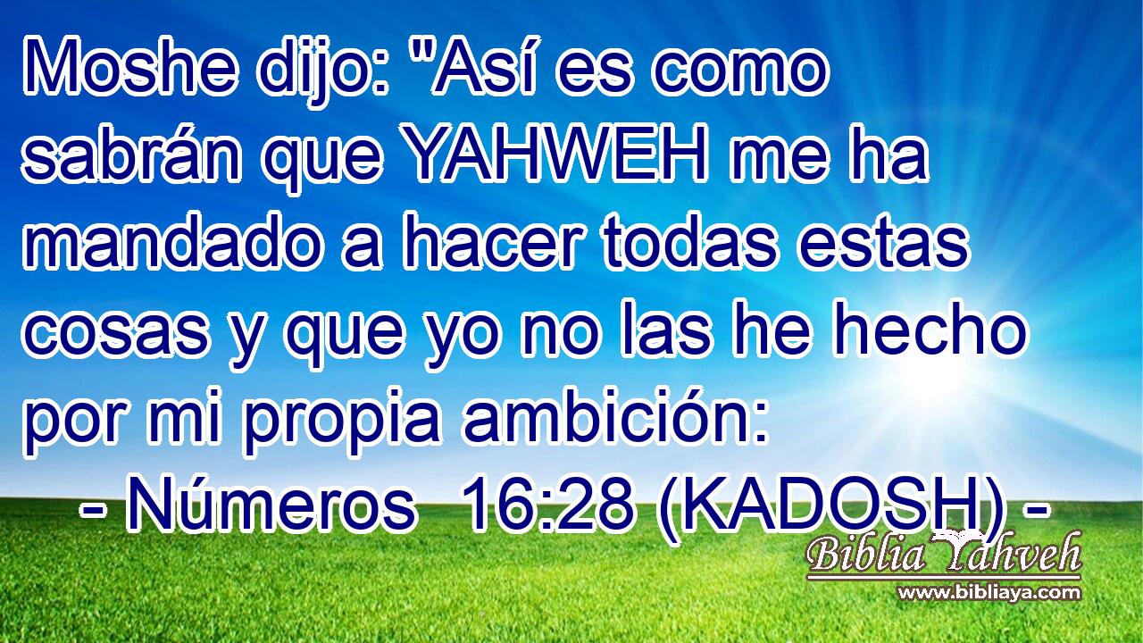  Moshe dijo: 