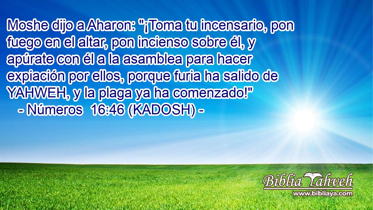  Moshe dijo a Aharon: 
