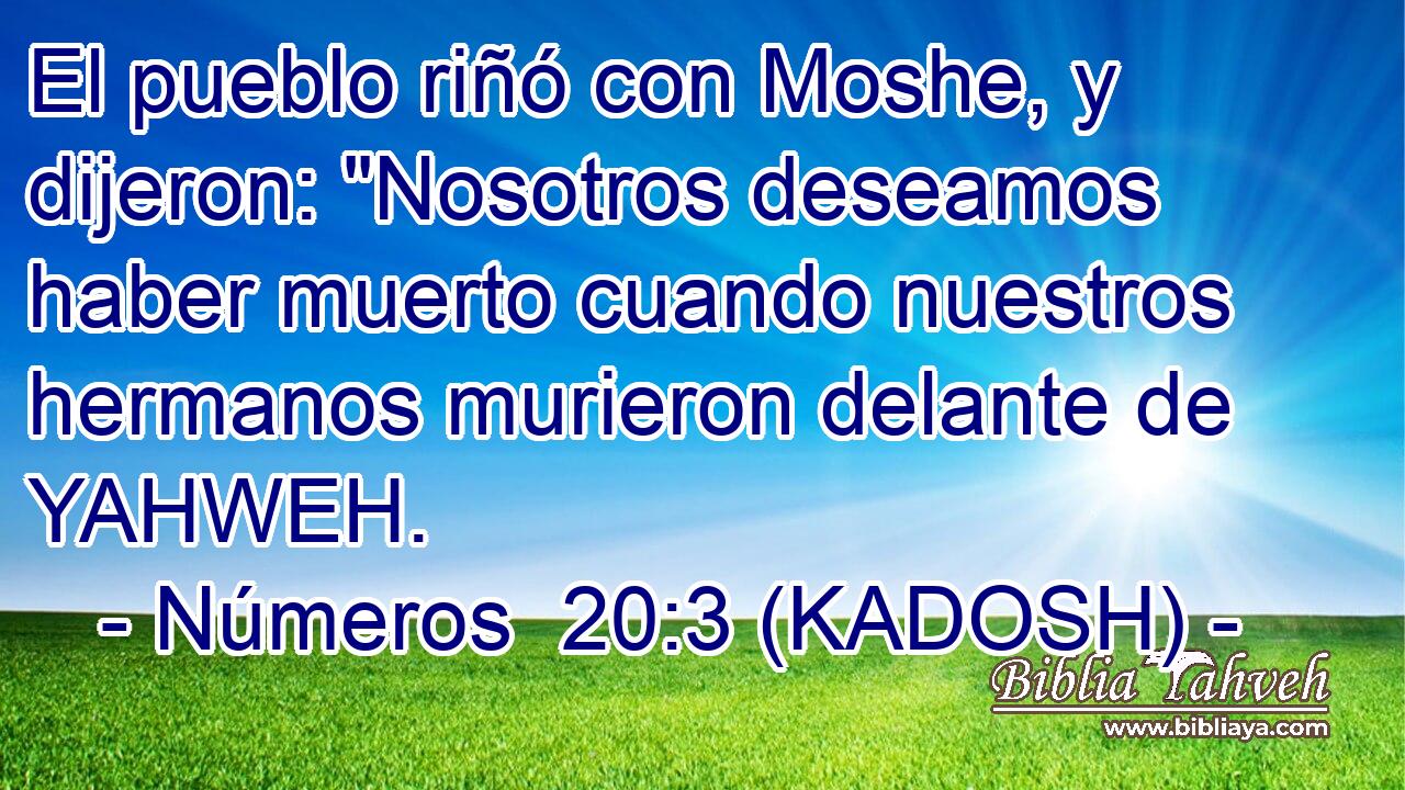  El pueblo riñó con Moshe, y dijeron: 