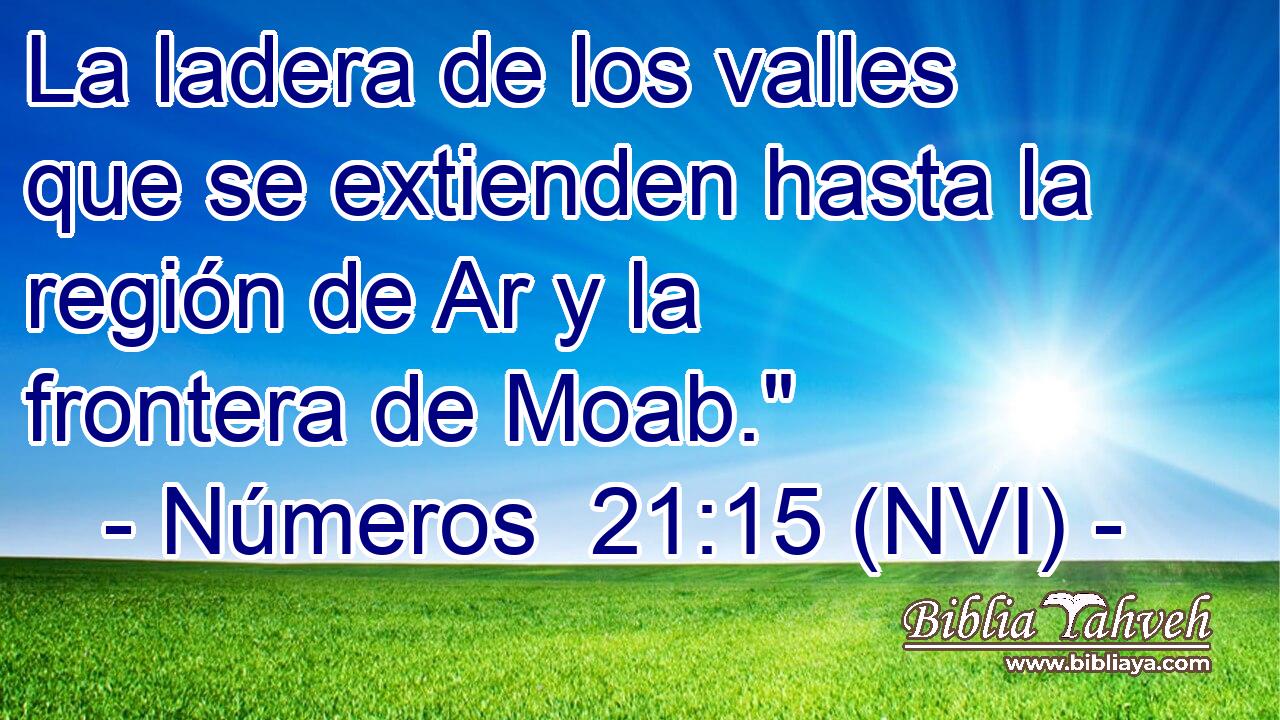  La ladera de los valles que se extienden hasta la región de Ar y la frontera de Moab.