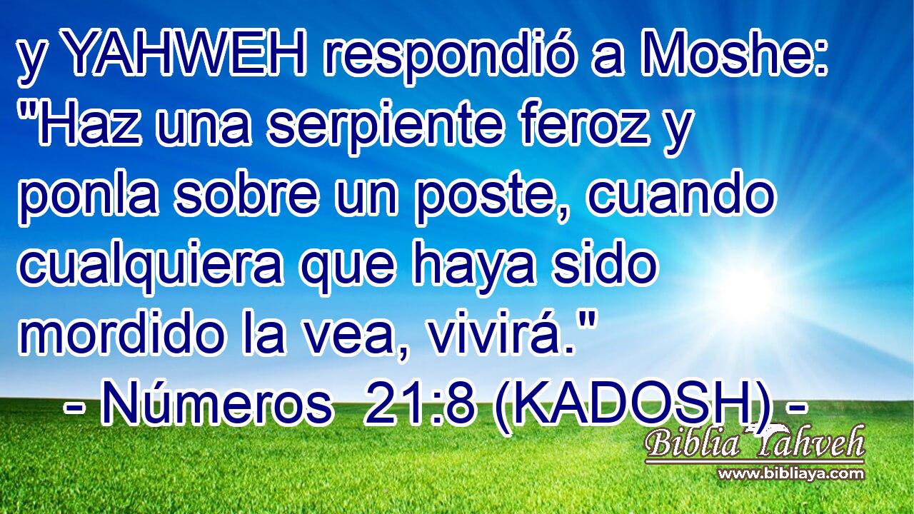  y YAHWEH respondió a Moshe: 