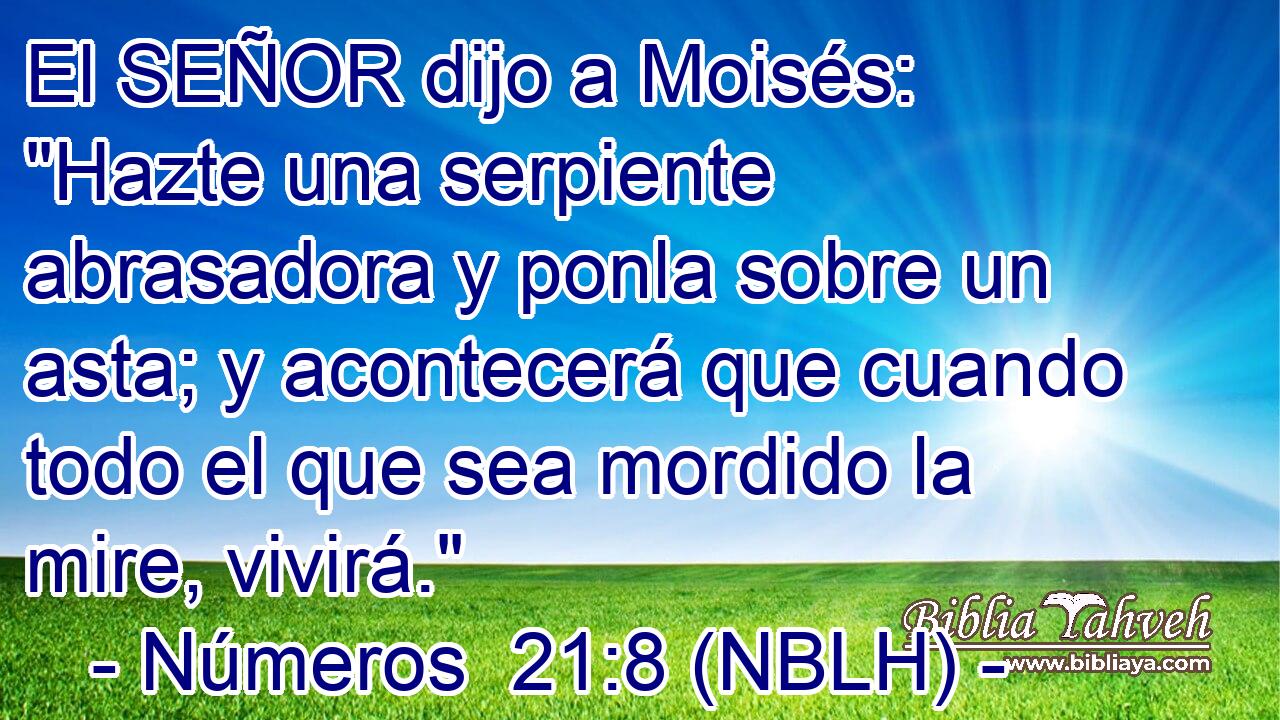  El SEÑOR dijo a Moisés: 