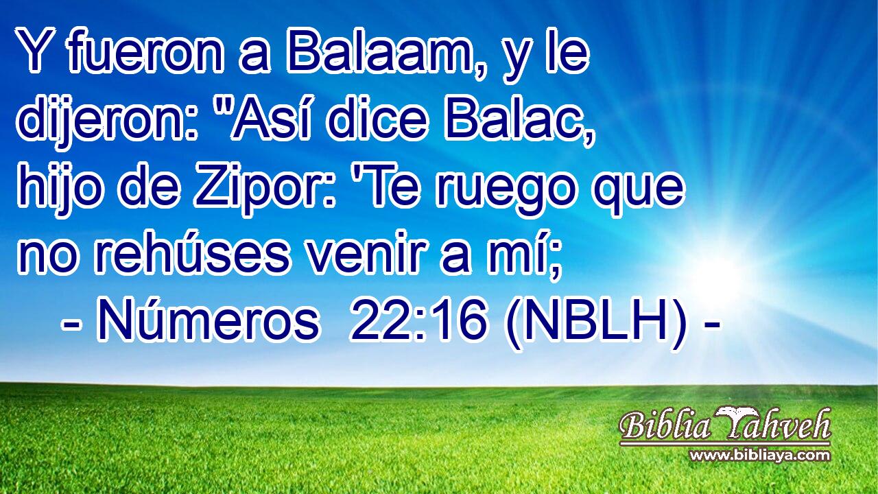  Y fueron a Balaam, y le dijeron: 