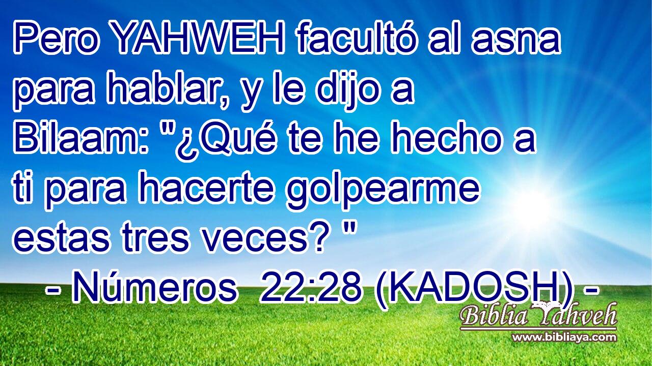 Pero YAHWEH facultó al asna para hablar, y le dijo a Bilaam: 