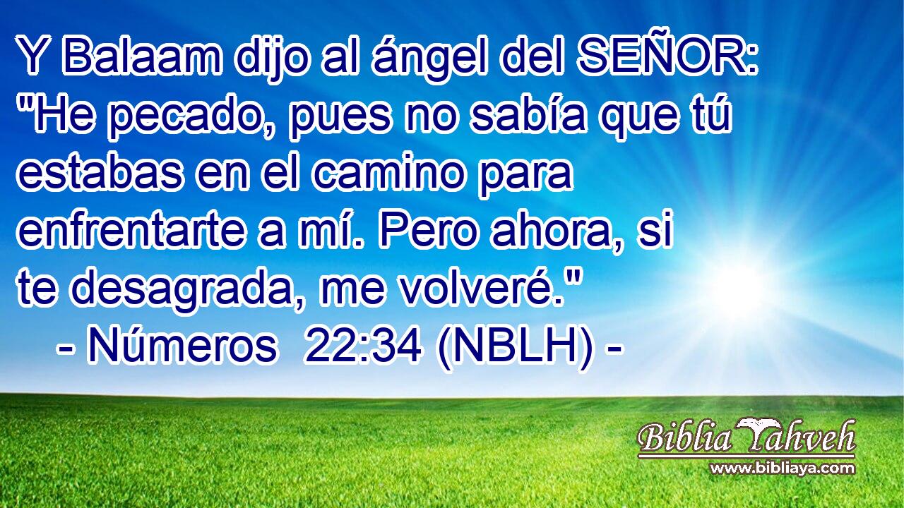  Y Balaam dijo al ángel del SEÑOR: 