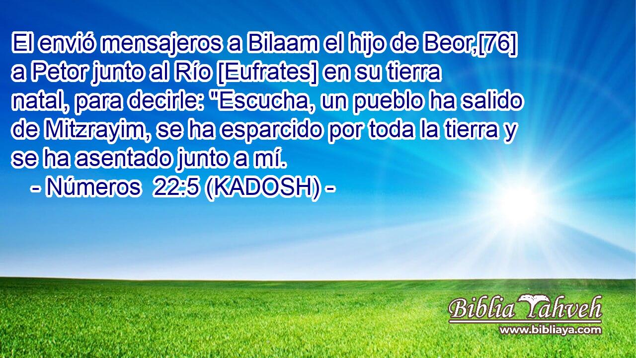  El envió mensajeros a Bilaam el hijo de Beor,[76] a Petor junto al Río [Eufrates] en su tierra natal, para decirle: 
