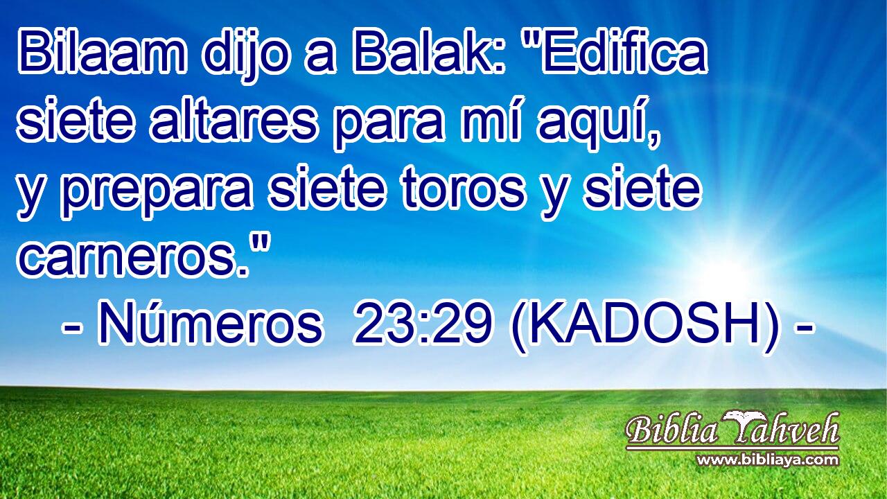  Bilaam dijo a Balak: 