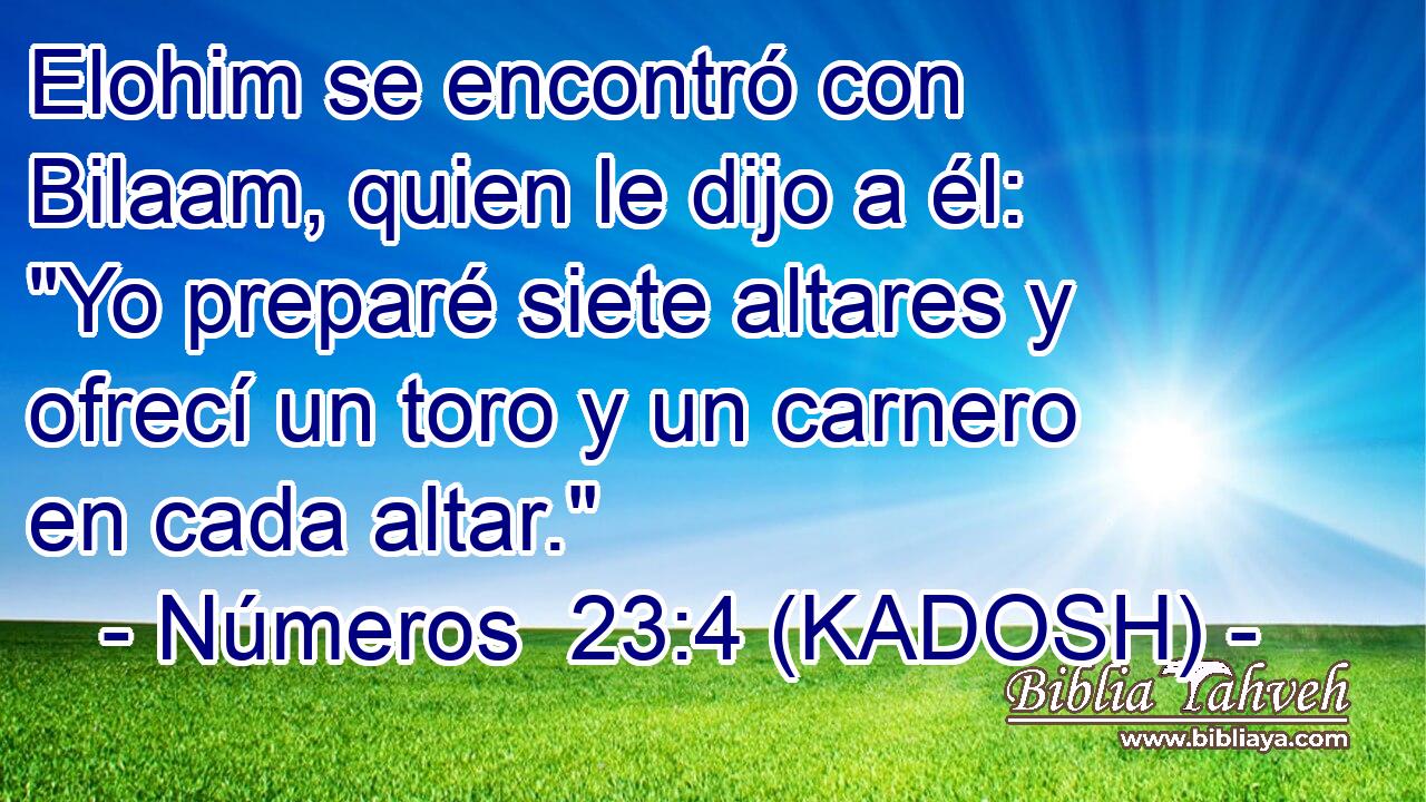  Elohim se encontró con Bilaam, quien le dijo a él: 
