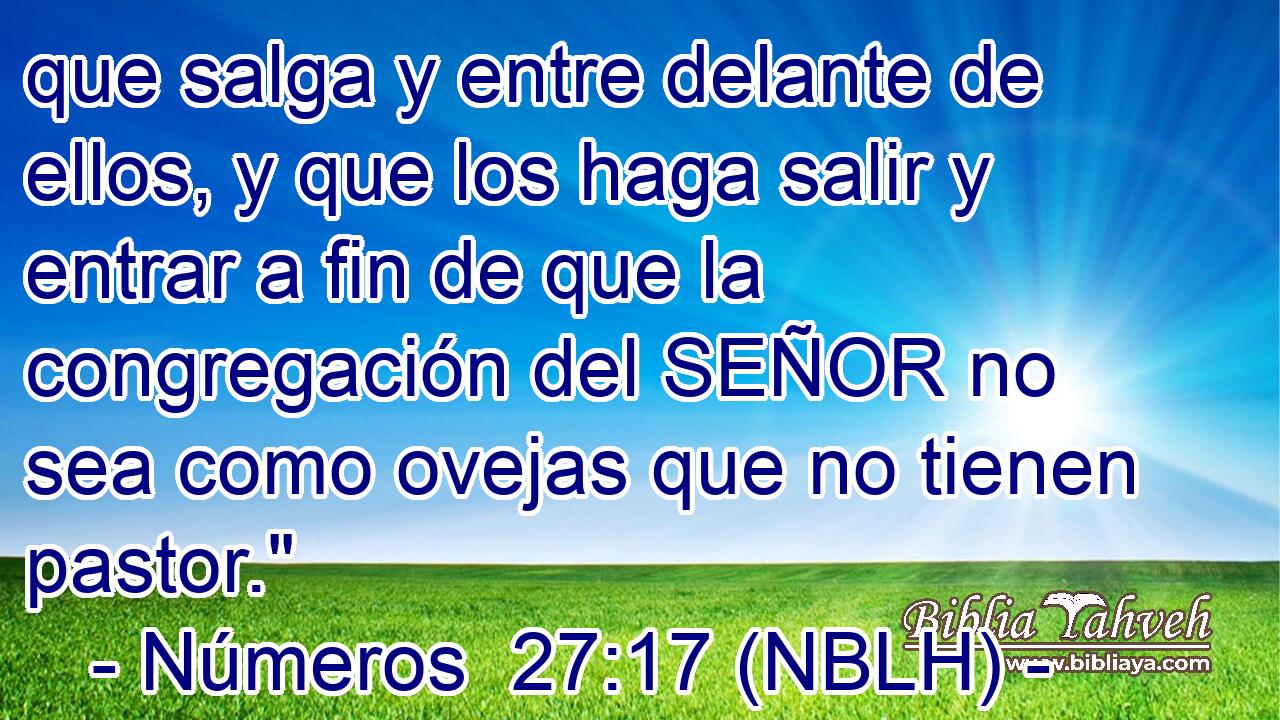  que salga y entre delante de ellos, y que los haga salir y entrar a fin de que la congregación del SEÑOR no sea como ovejas que no tienen pastor.