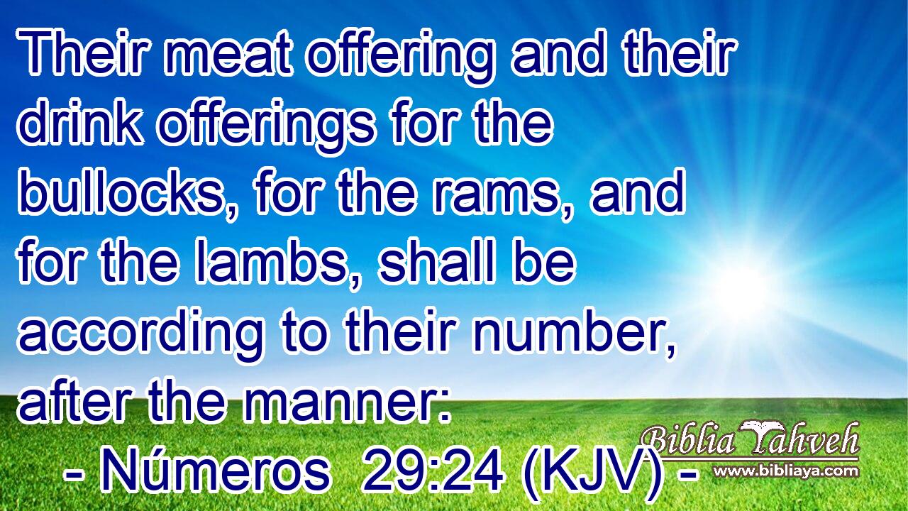 Their meat offering and their drink offerings for the bullocks, for the rams, and for the lambs, shall be according to their number, after the manner: