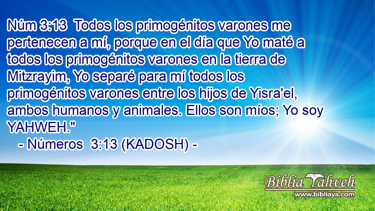  Todos los primogénitos varones me pertenecen a mí, porque en el día que Yo maté a todos los primogénitos varones en la tierra de Mitzrayim, Yo separé para mí todos los primogénitos varones entre los hijos de Yisra'el, ambos humanos y animales. Ellos son míos; Yo soy YAHWEH.