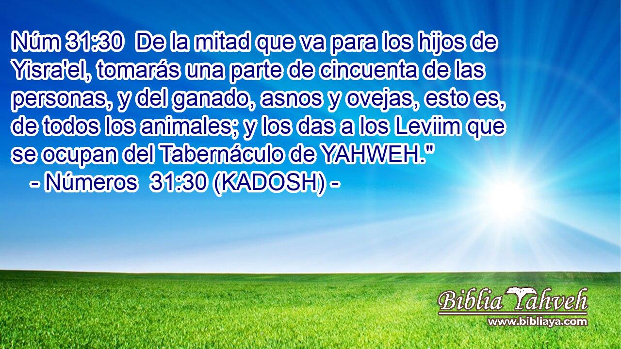  De la mitad que va para los hijos de Yisra'el, tomarás una parte de cincuenta de las personas, y del ganado, asnos y ovejas, esto es, de todos los animales; y los das a los Leviim que se ocupan del Tabernáculo de YAHWEH.