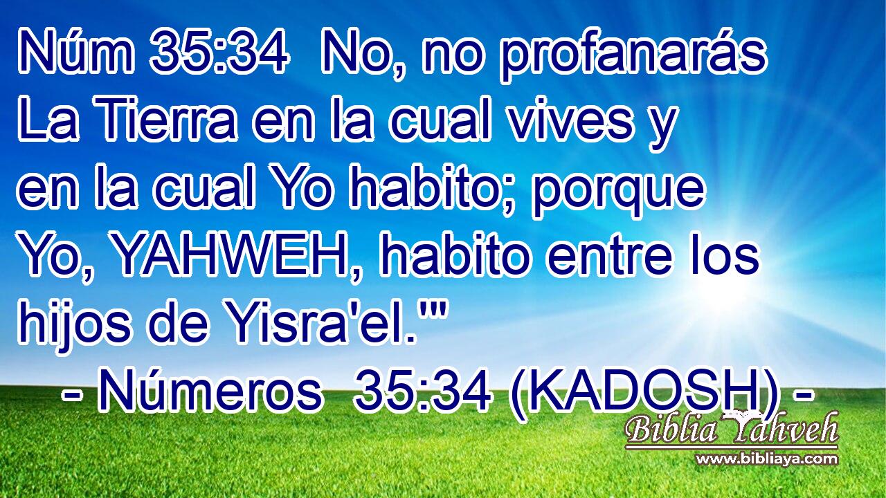  No, no profanarás La Tierra en la cual vives y en la cual Yo habito; porque Yo, YAHWEH, habito entre los hijos de Yisra'el.'