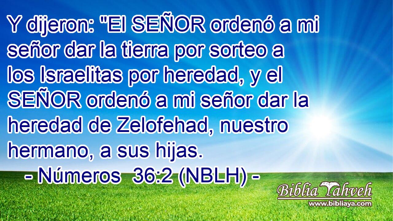  Y dijeron: 
