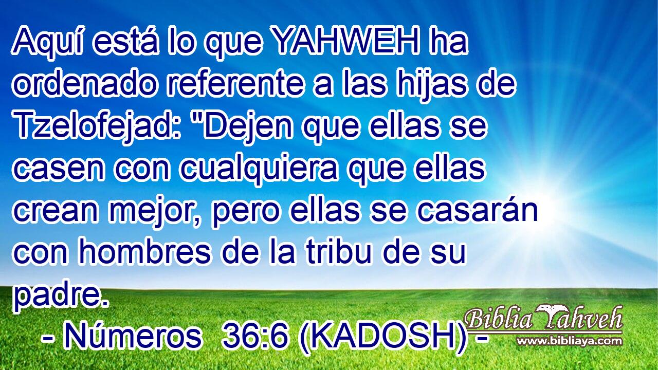  Aquí está lo que YAHWEH ha ordenado referente a las hijas de Tzelofejad: 