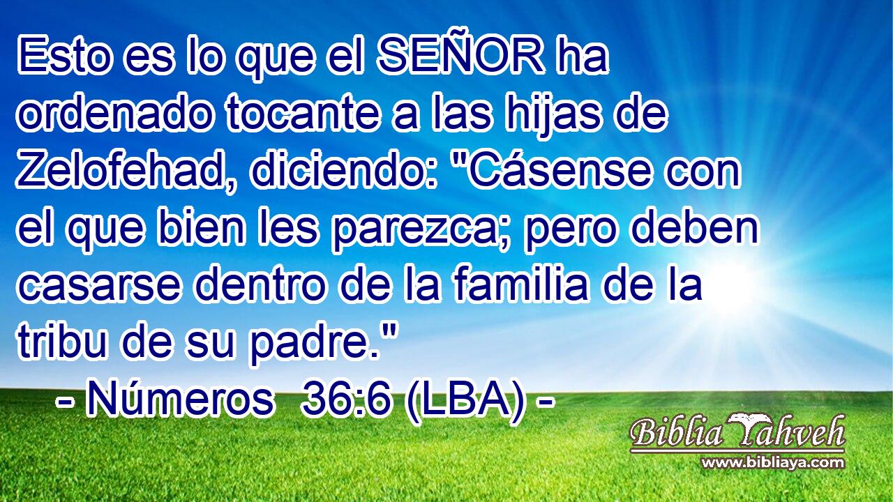 Esto es lo que el SEÑOR ha ordenado tocante a las hijas de Zelofehad, diciendo: 