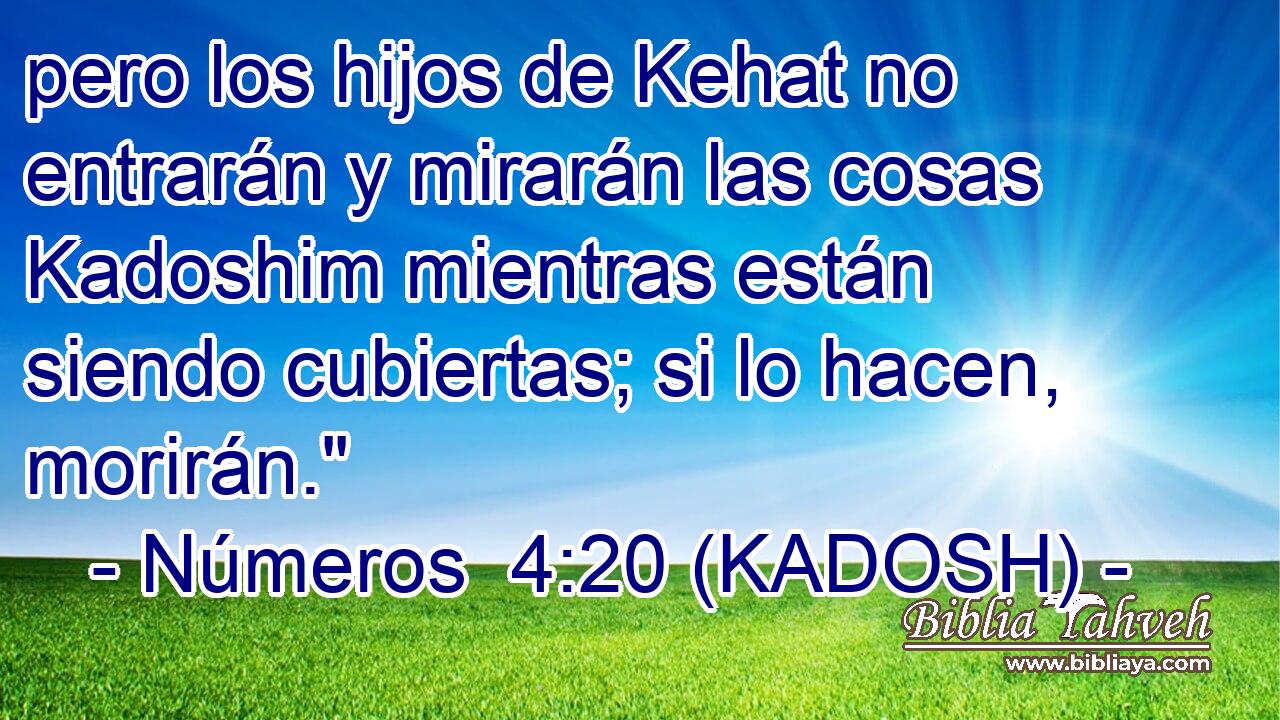  pero los hijos de Kehat no entrarán y mirarán las cosas Kadoshim mientras están siendo cubiertas; si lo hacen, morirán.