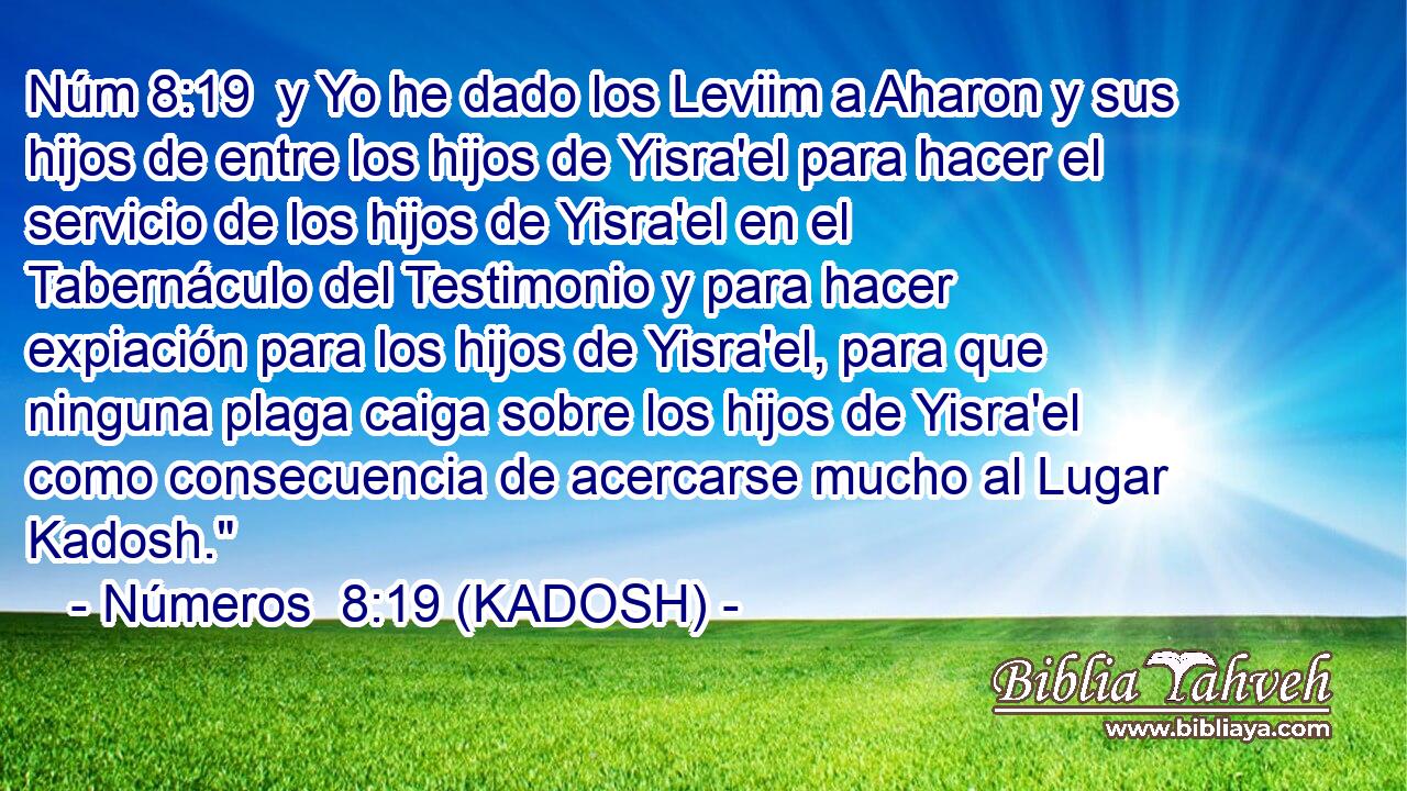  y Yo he dado los Leviim a Aharon y sus hijos de entre los hijos de Yisra'el para hacer el servicio de los hijos de Yisra'el en el Tabernáculo del Testimonio y para hacer expiación para los hijos de Yisra'el, para que ninguna plaga caiga sobre los hijos de Yisra'el como consecuencia de acercarse mucho al Lugar Kadosh.