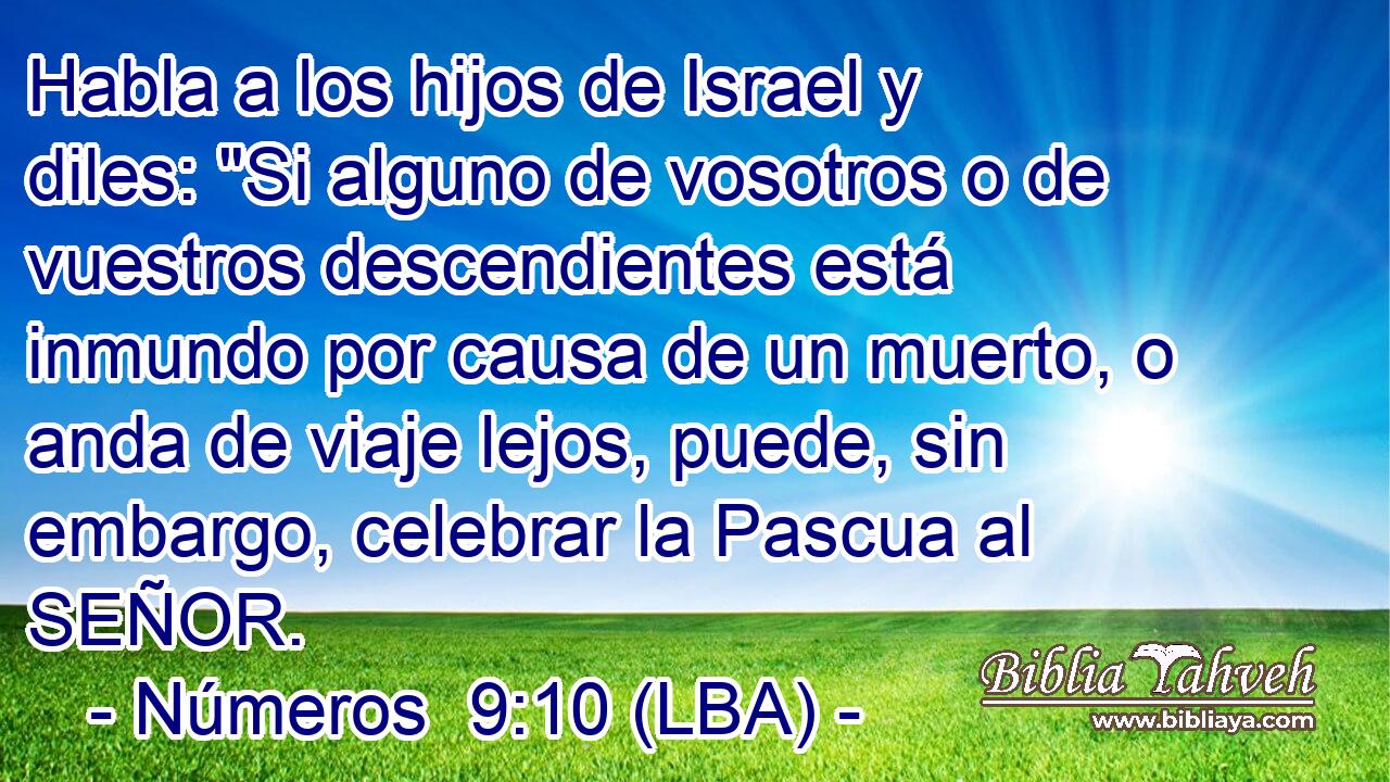 Habla a los hijos de Israel y diles: 