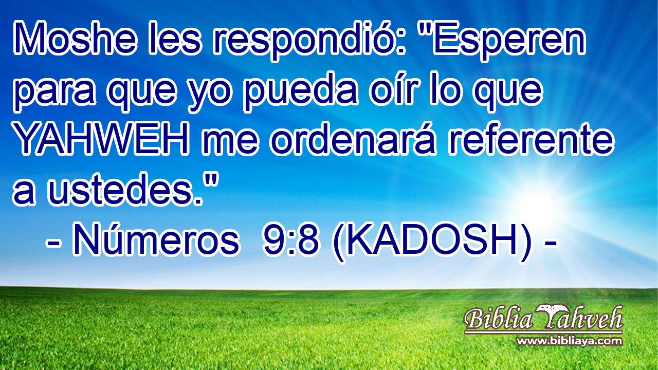  Moshe les respondió: 