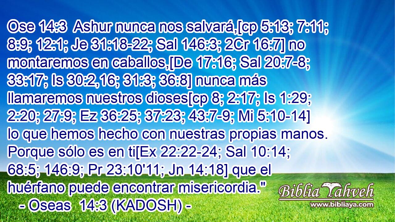  Ashur nunca nos salvará,[cp 5:13; 7:11; 8:9; 12:1; Je 31:18-22; Sal 146:3; 2Cr 16:7] no montaremos en caballos,[De 17:16; Sal 20:7-8; 33:17; Is 30:2,16; 31:3; 36:8] nunca más llamaremos nuestros dioses[cp 8; 2:17; Is 1:29; 2:20; 27:9; Ez 36:25; 37:23; 43:7-9; Mi 5:10-14] lo que hemos hecho con nuestras propias manos. Porque sólo es en ti[Ex 22:22-24; Sal 10:14; 68:5; 146:9; Pr 23:10'11; Jn 14:18] que el huérfano puede encontrar misericordia.