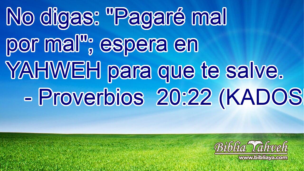  No digas: 