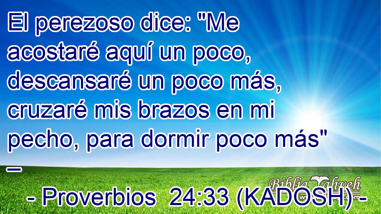  El perezoso dice: 