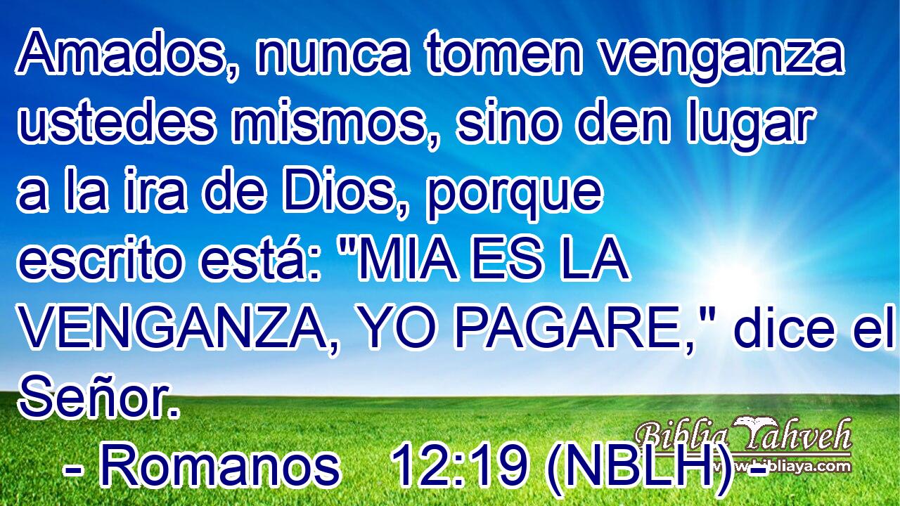  Amados, nunca tomen venganza ustedes mismos, sino den lugar a la ira de Dios, porque escrito está: 