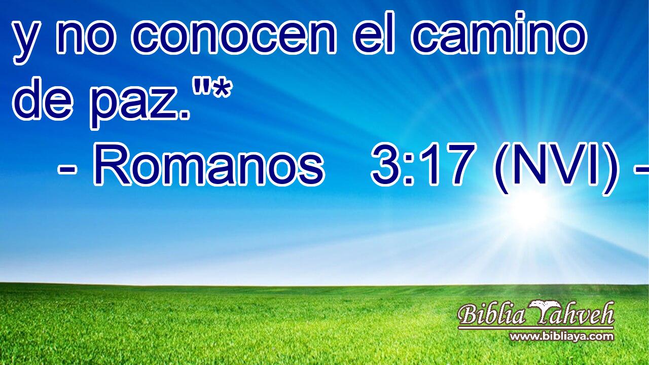  y no conocen el camino de paz.