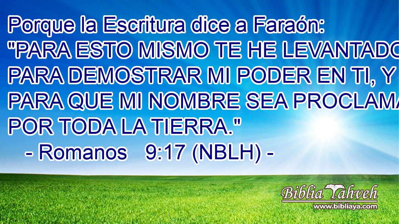  Porque la Escritura dice a Faraón: 