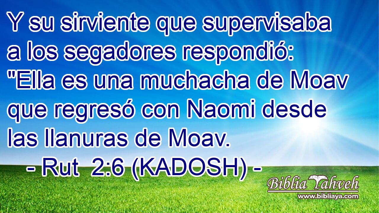  Y su sirviente que supervisaba a los segadores respondió: 