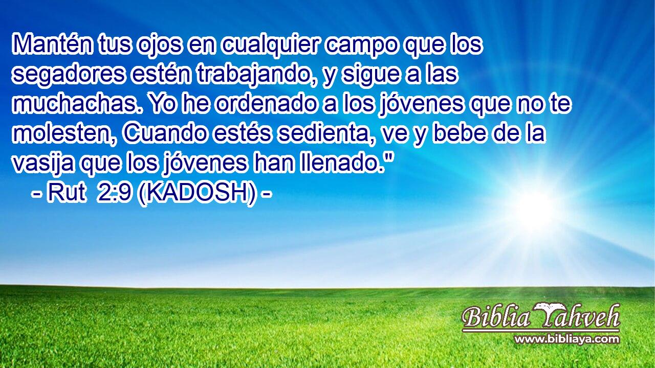  Mantén tus ojos en cualquier campo que los segadores estén trabajando, y sigue a las muchachas. Yo he ordenado a los jóvenes que no te molesten, Cuando estés sedienta, ve y bebe de la vasija que los jóvenes han llenado.