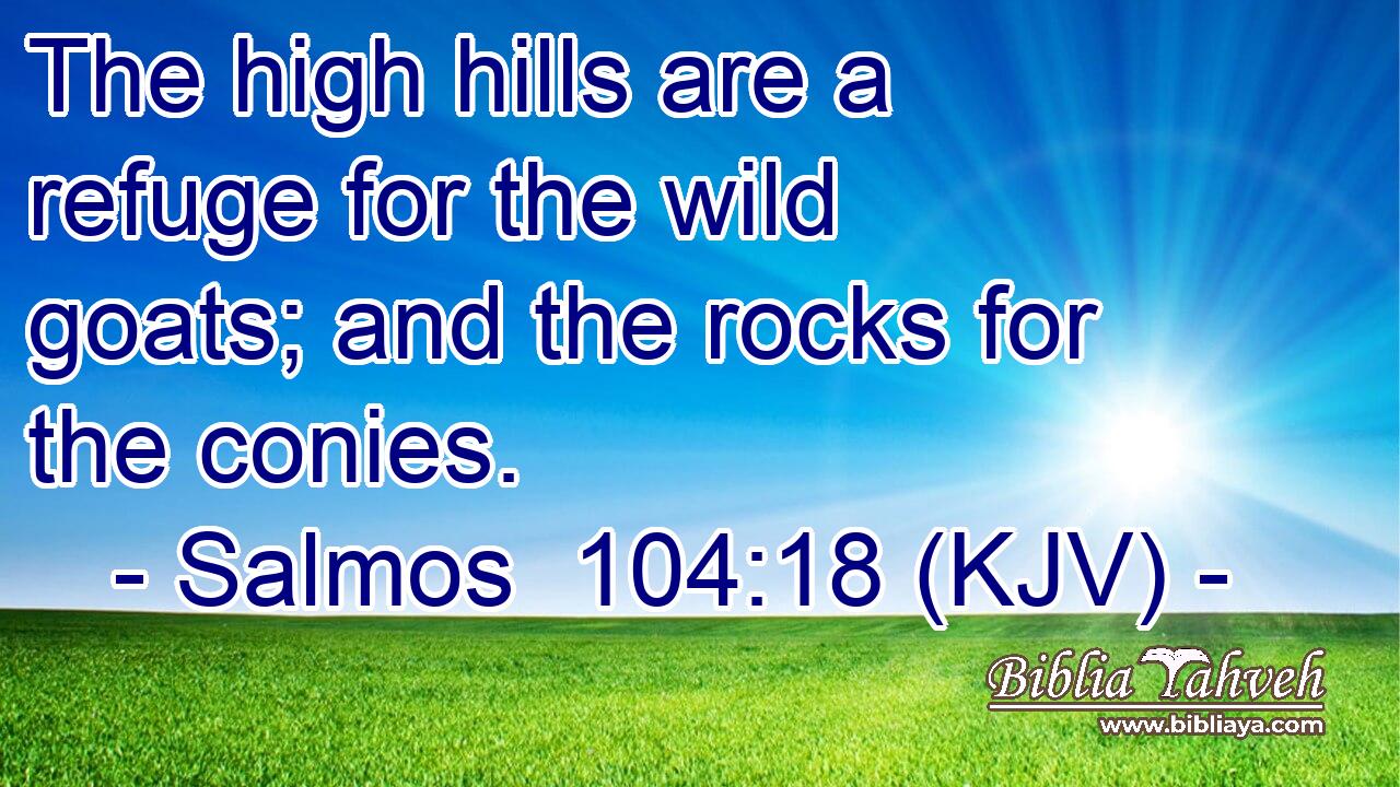 The high hills are a refuge for the wild goats; and the rocks for the conies.