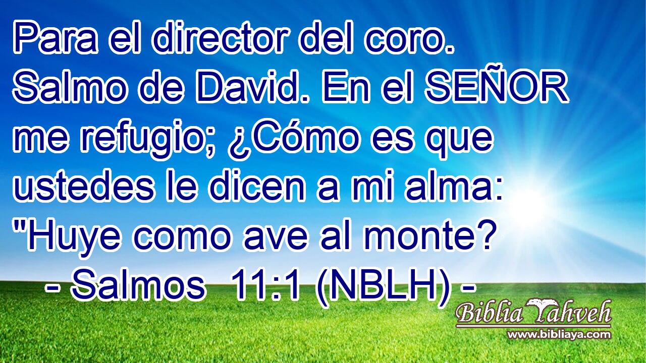  Para el director del coro. Salmo de David. En el SEÑOR me refugio; ¿Cómo es que ustedes le dicen a mi alma: 