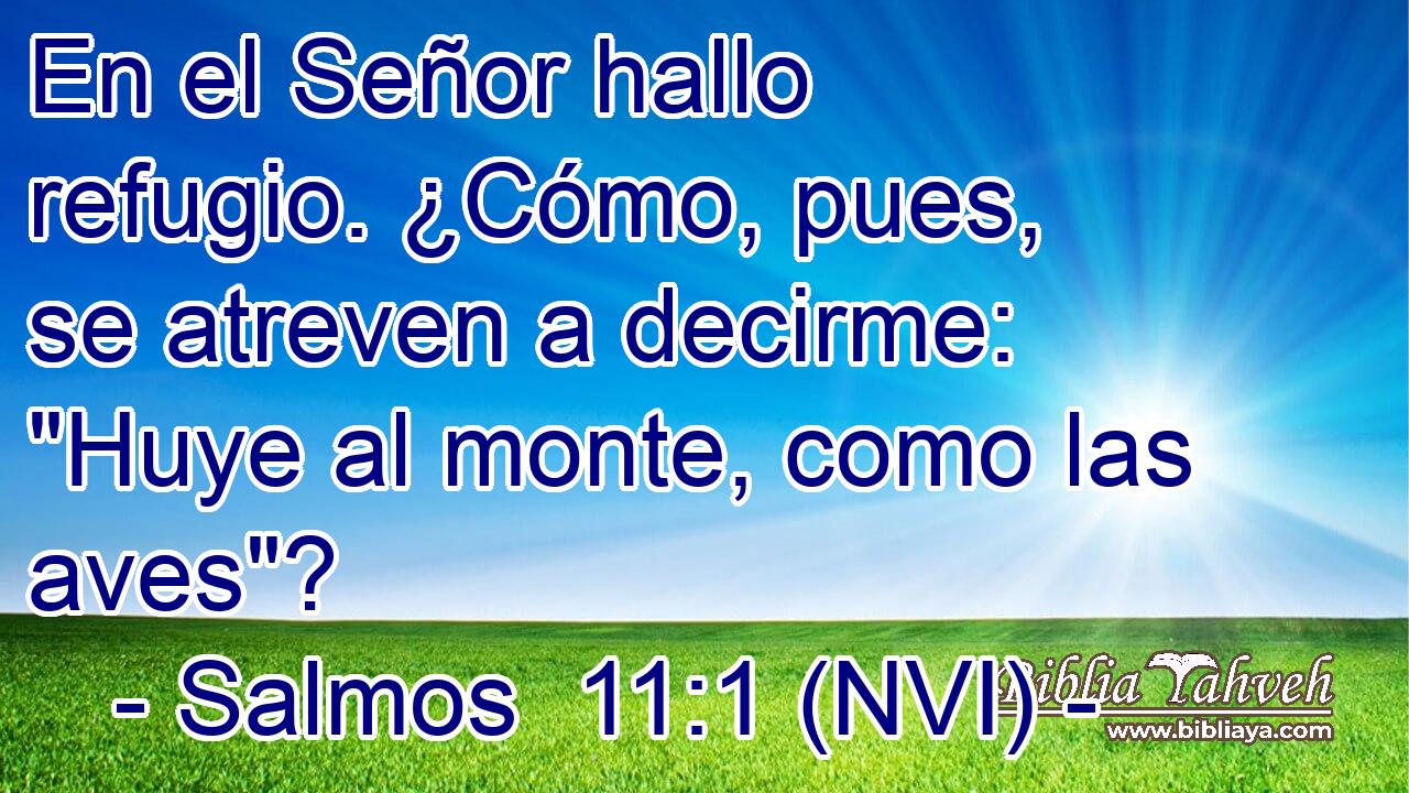  En el Señor hallo refugio. ¿Cómo, pues, se atreven a decirme: 