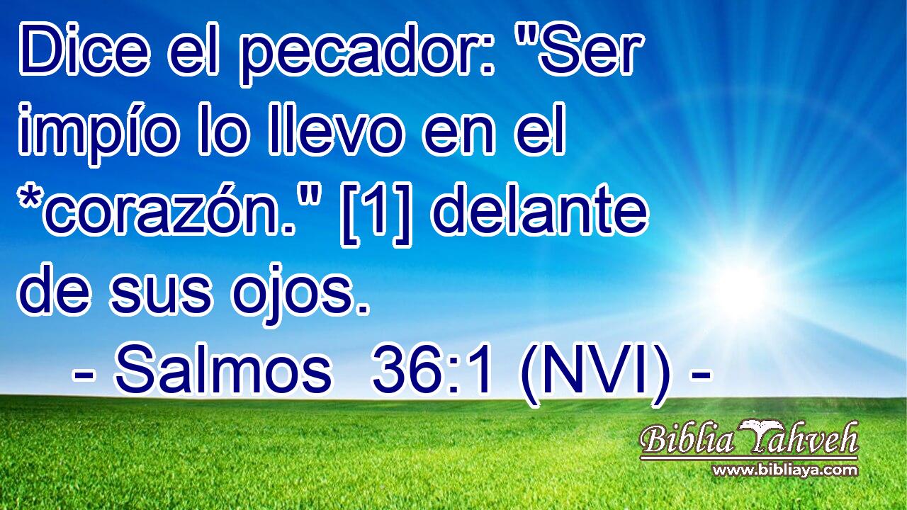  Dice el pecador: 