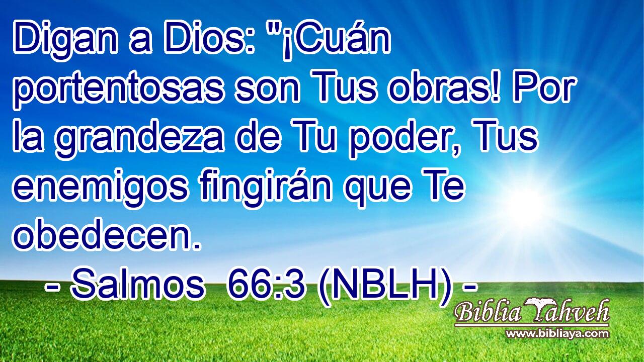  Digan a Dios: 