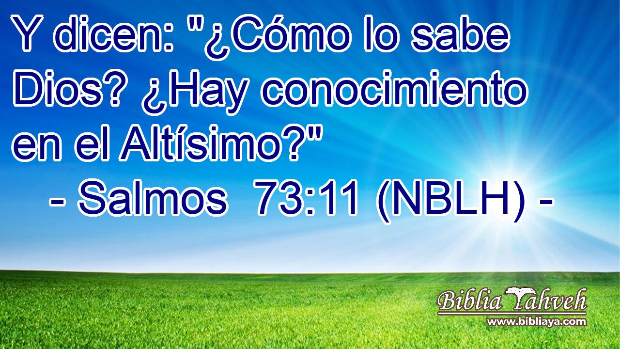  Y dicen: 