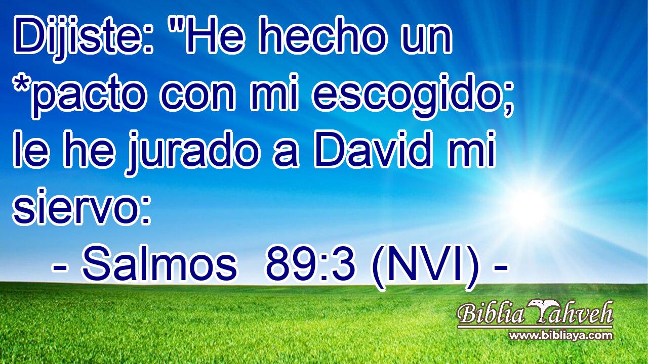  Dijiste: 