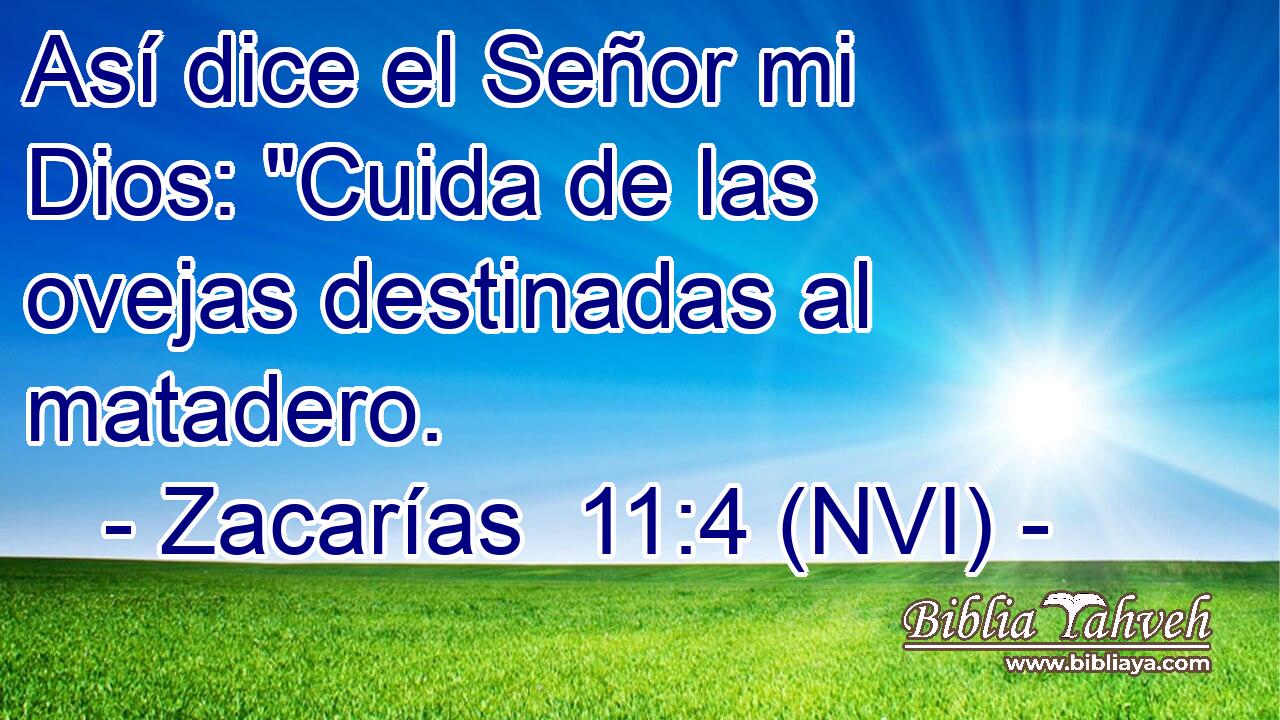  Así dice el Señor mi Dios: 