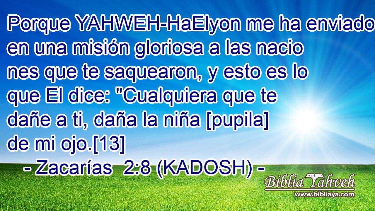  Porque YAHWEH-HaElyon me ha enviado en una misión gloriosa a las nacio nes que te saquearon, y esto es lo que El dice: 
