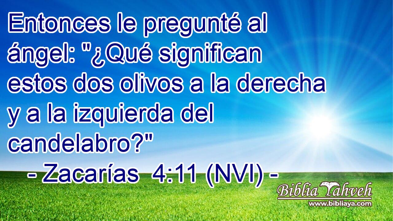  Entonces le pregunté al ángel: 