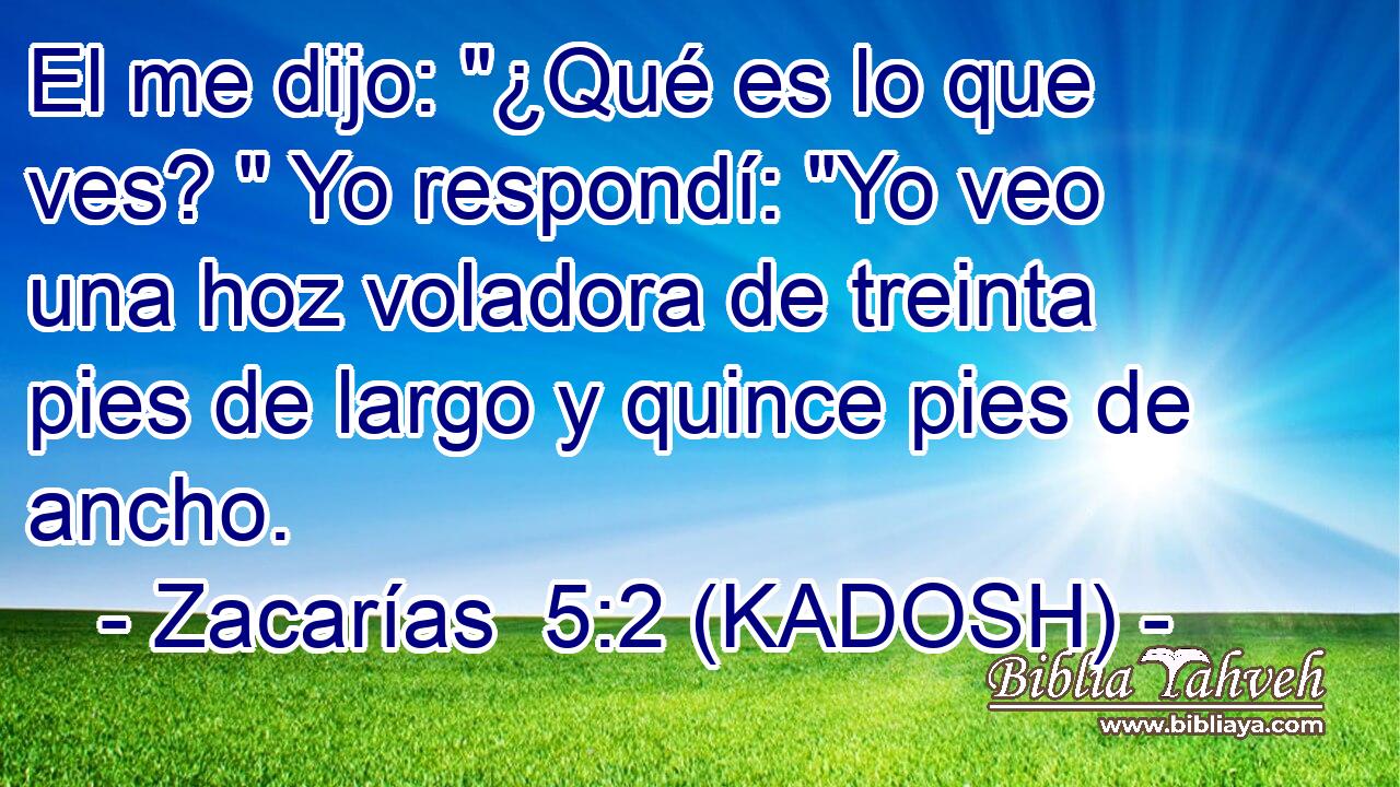  El me dijo: 
