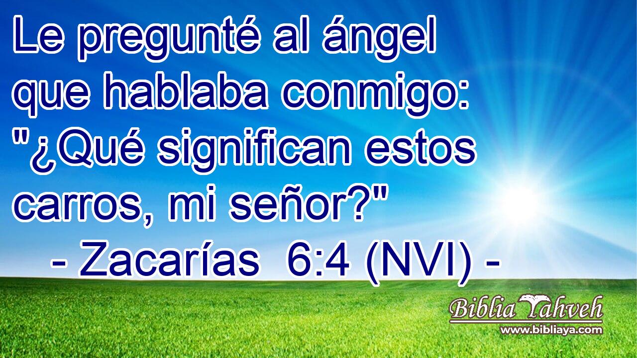  Le pregunté al ángel que hablaba conmigo: 