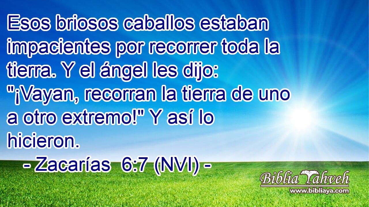  Esos briosos caballos estaban impacientes por recorrer toda la tierra. Y el ángel les dijo: 